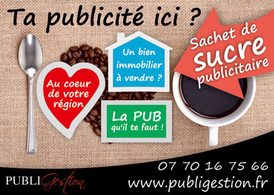 Publigestion Sàrl